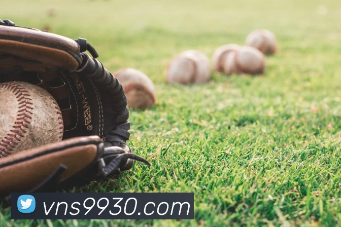 威尼斯人官网APP 封面图