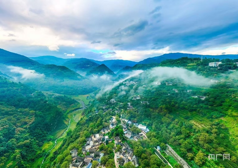 产业”新模式 打响“旅居云南”品牌冰球突破游戏网站凤庆探索“旅居+茶(图2)